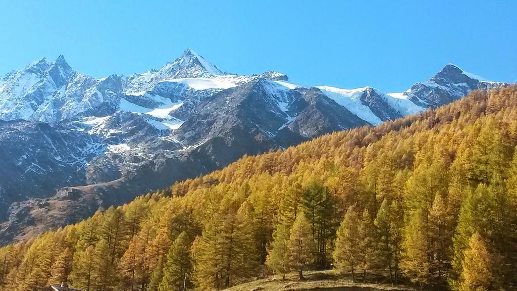 Ferienhaus Antigua Saas-Grund Kültér fotó